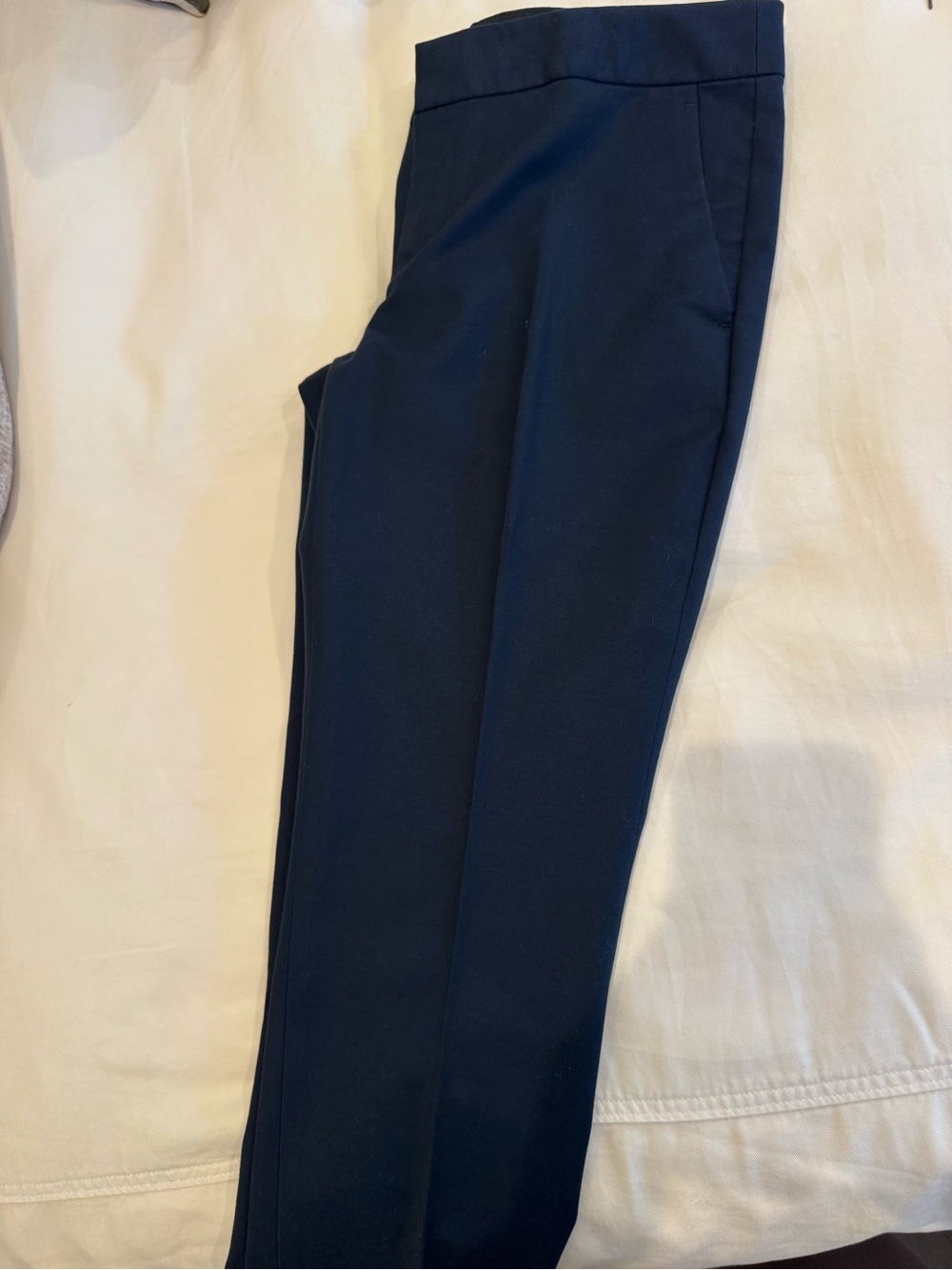 Banana Republic Blue Tailored Pants